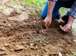 5 Considerations To Make When Looking For Land To Buy soil, land, environment