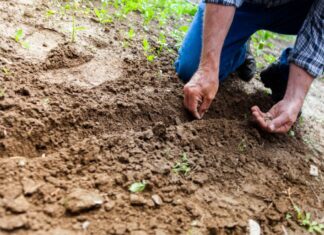 5 Considerations To Make When Looking For Land To Buy soil, land, environment